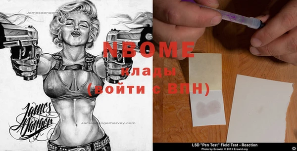 прущий лед Заречный