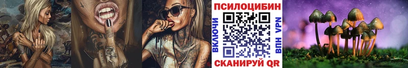 kraken как зайти Усть-Илимск Псилоцибиновые грибы Psilocybe где купить наркоту