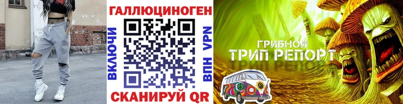 Псилоцибиновые грибы прущие грибы Усть-Илимск